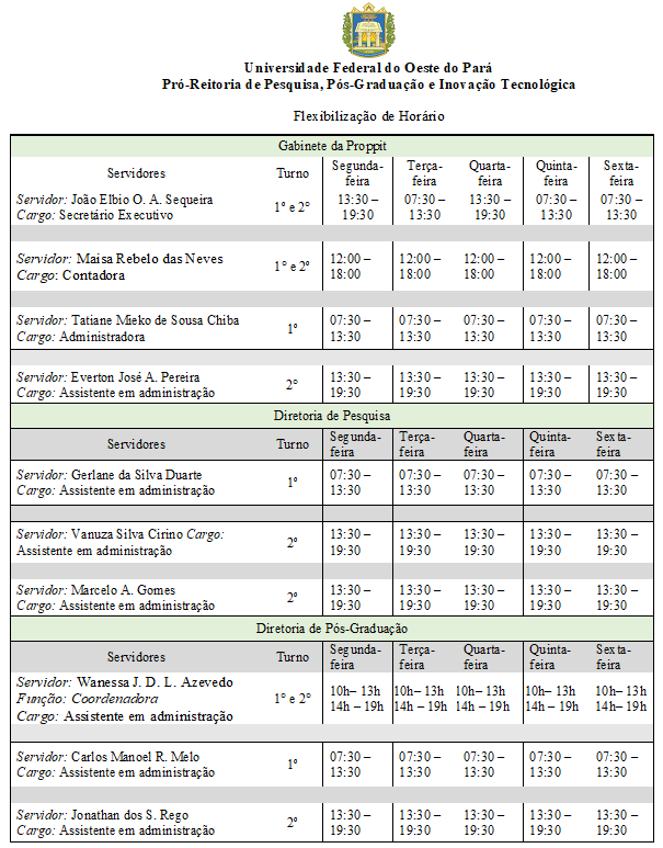Flexiblização